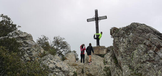 Trail au Fenouillet La Crau Var